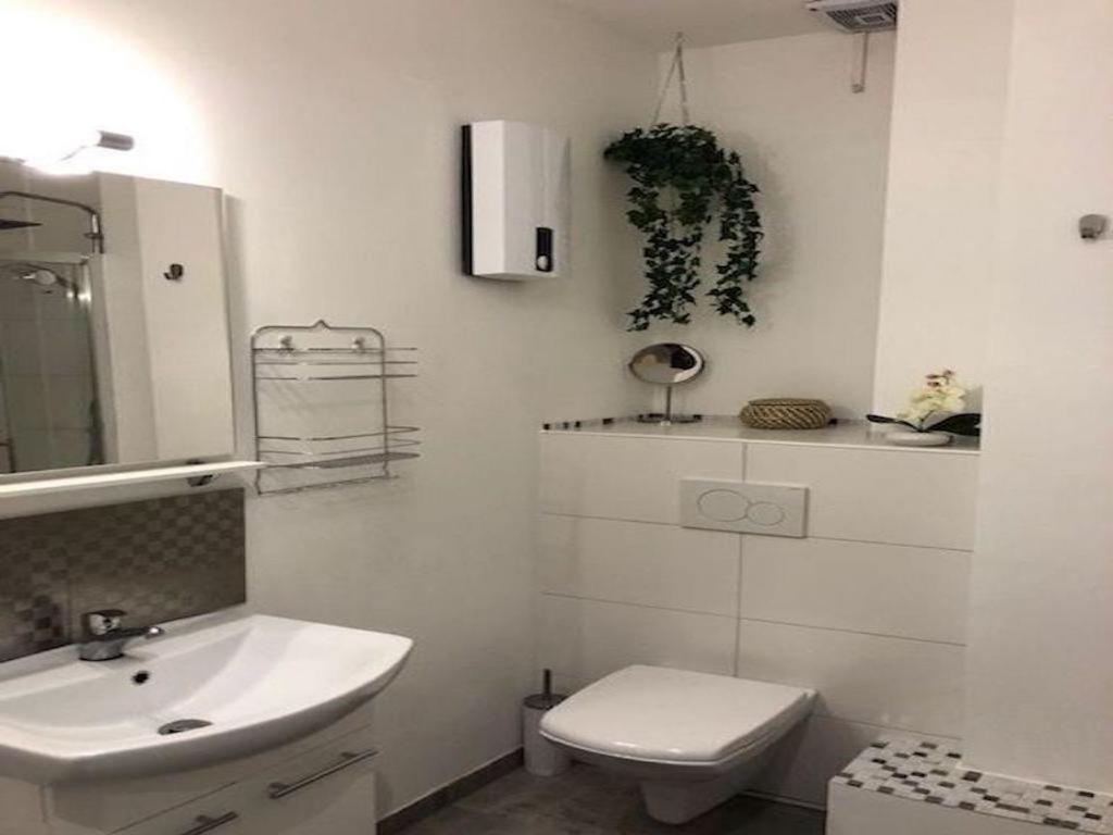 Veedel - Gemuetliche Ferienwohnung In Bester City Lage 쾰른 외부 사진